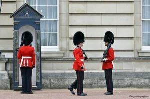 Changing of the Guard Getting new Blood on the Board